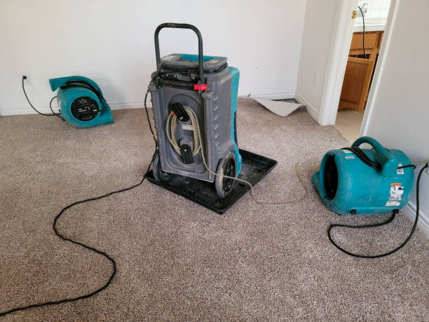 Best Basement water damage restoration  in Dora, AL
