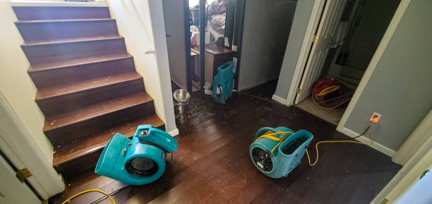 Best Professional water damage repair  in Dora, AL