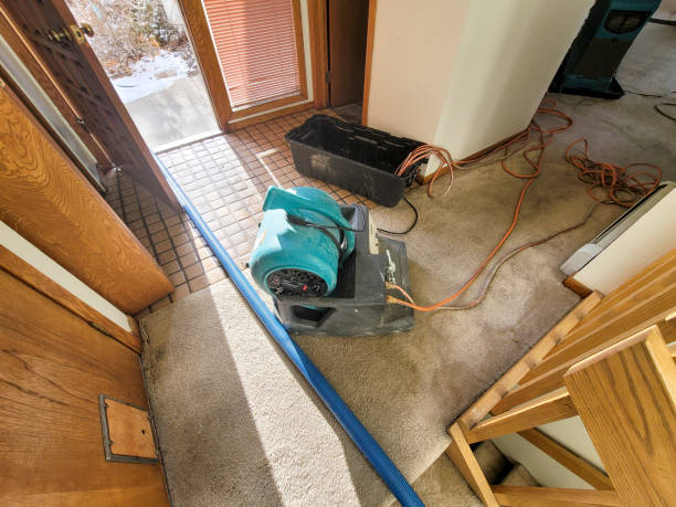 Best Emergency water damage restoration  in Dora, AL
