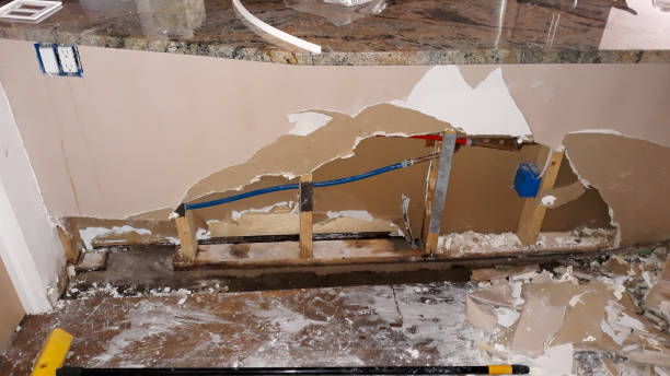 Best Water damage restoration near me  in Dora, AL