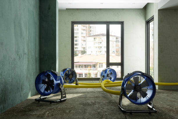 Best Fire Damage Restoration  in Dora, AL